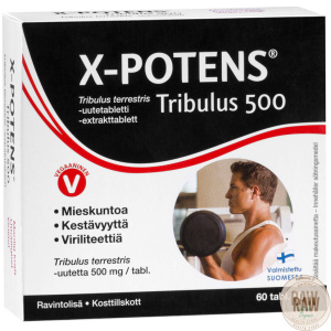 Hankintatukku X-potens Tribulus 500 60tabl