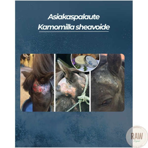 Saaren Taika kamomilla sheavoide, 80 ml – kuva 8