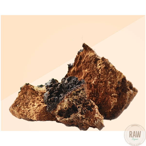 Shroomwell Chaga (pakuri) uute 30ml – kuva 5