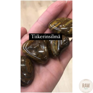 Tiikerinsilma_hiottu_3_cm