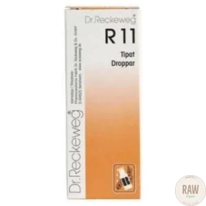 Dr_Reckeweg_R11_tipat_50ml