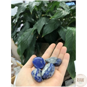 Lapis_lazuli_n__2_3_cm