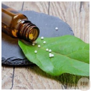 Helios_China_officinalis_C30