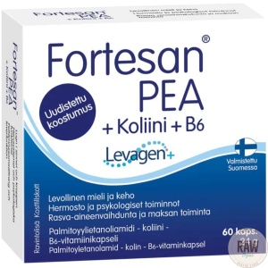 Hankintatukku Fortesan PEA + koliini + B6  60kaps.
