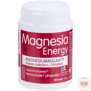 Hankintaukku Magnesia Energy 120tabl.